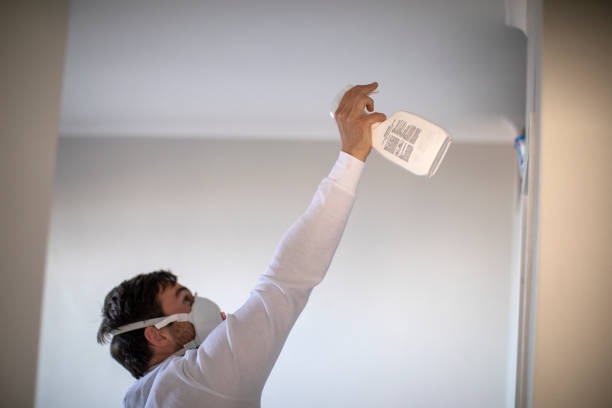 Best Bathroom Mold Remediation in Flomaton, AL