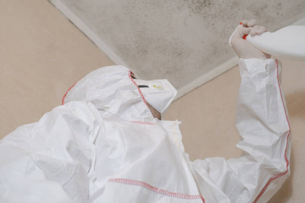 Best DIY Mold Remediation Support Services in Flomaton, AL